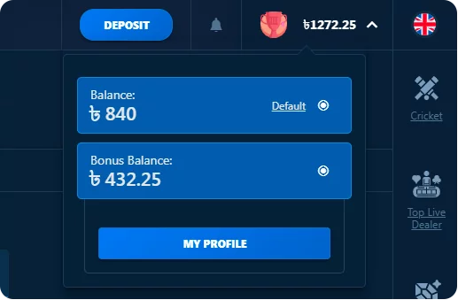 Бонусний баланс у Parik24